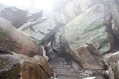 创意音游《古树旋律2》宣布明年1月正式发售