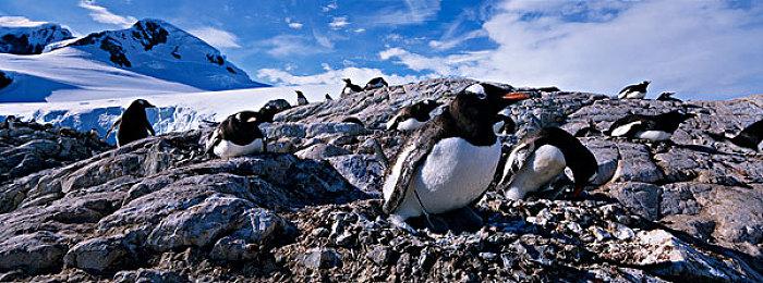 《刺客信条》原计划以三部曲的形式结束 故事结局为世界毁灭